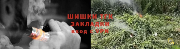 индика Кодинск