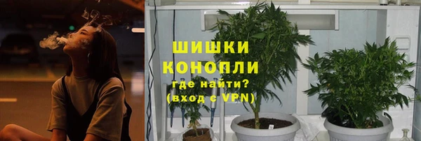 индика Кодинск