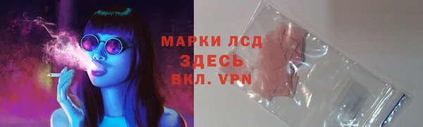 спиды Корсаков