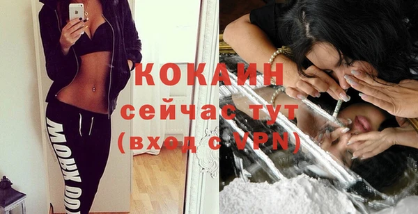 мяу мяу мука Коряжма