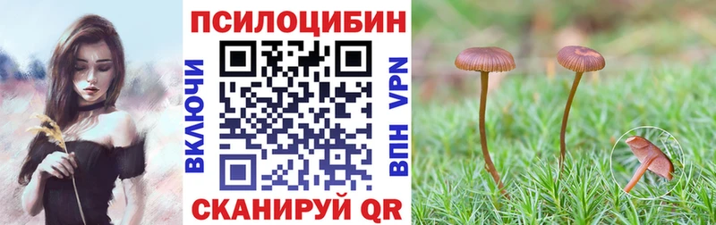 Псилоцибиновые грибы мицелий  Нерчинск 
