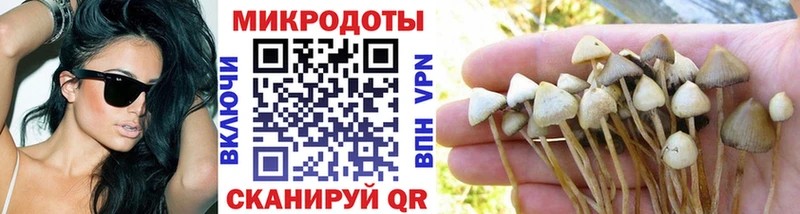 Псилоцибиновые грибы Cubensis Нерчинск