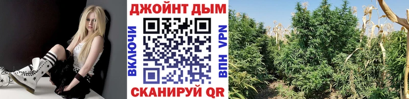 Марихуана сатива  сколько стоит  Нерчинск 